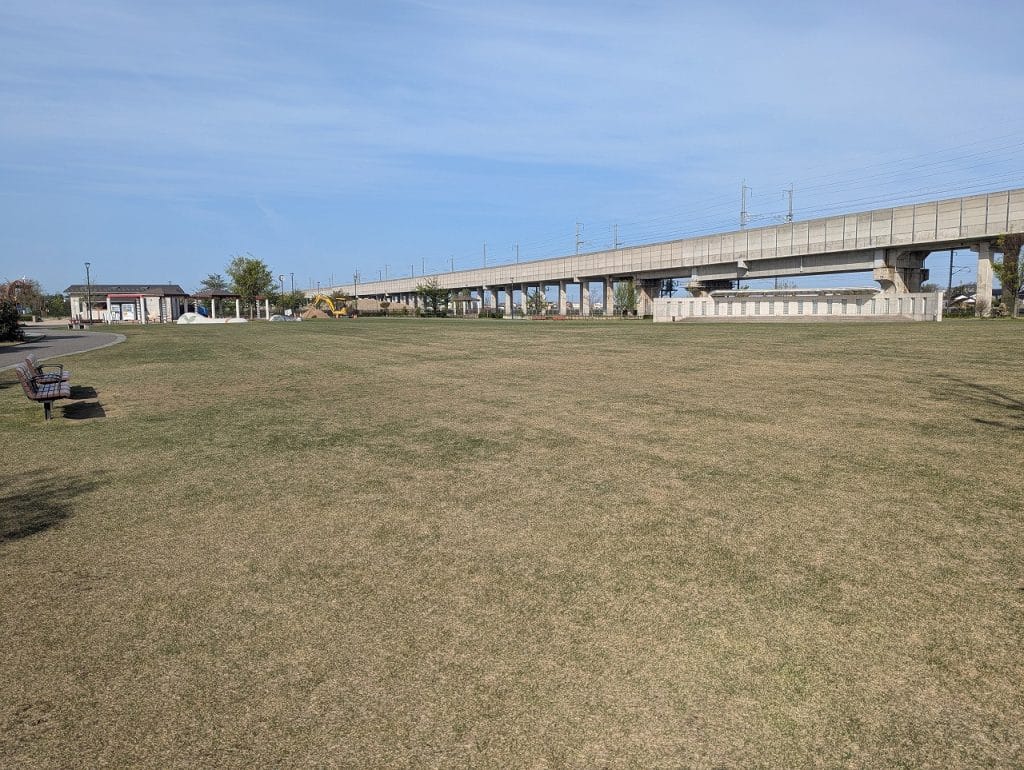 つばきの郷公園の芝生広場2