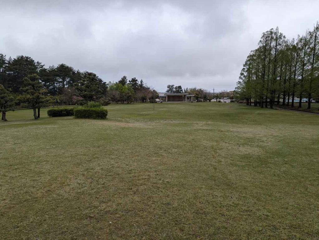 若宮公園の芝生