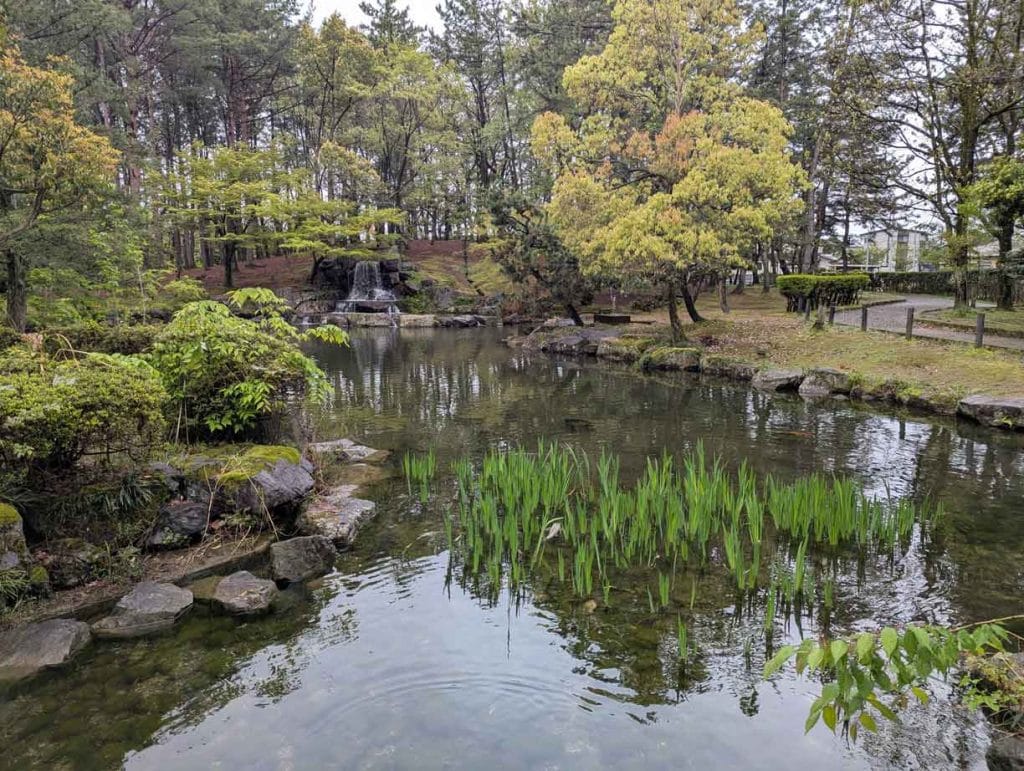 若宮公園の池1