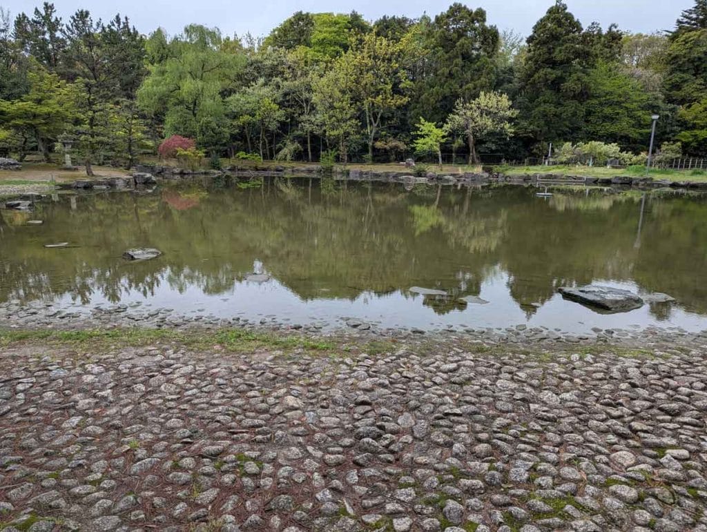 若宮公園の池3