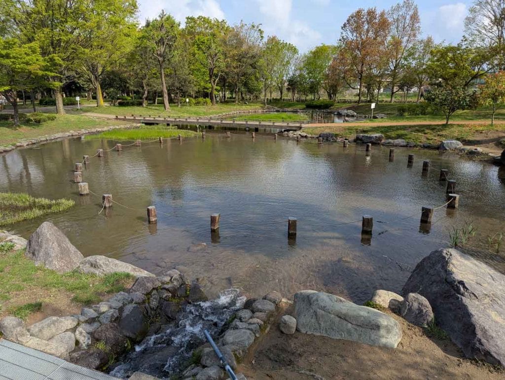 ぐるぐる広場の池