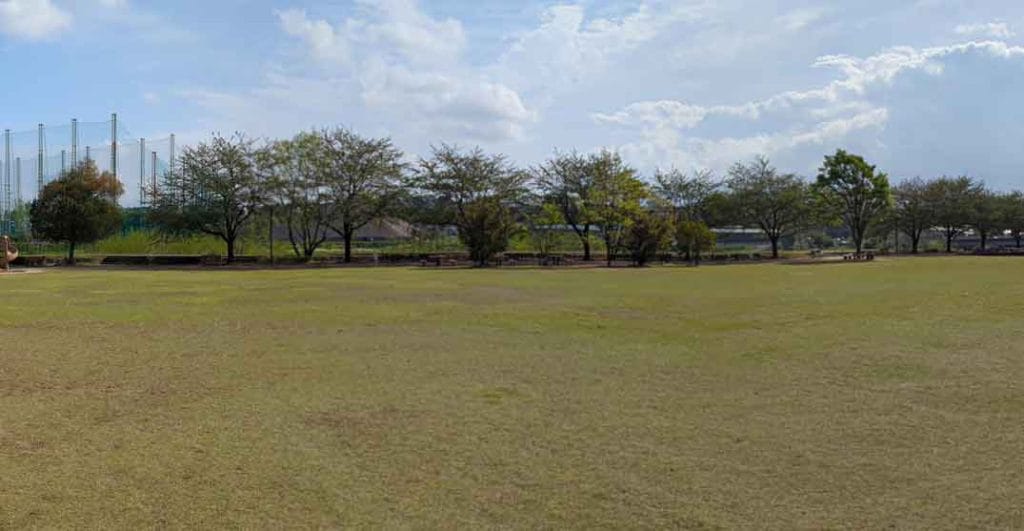 ぐるぐる広場の芝生広場1