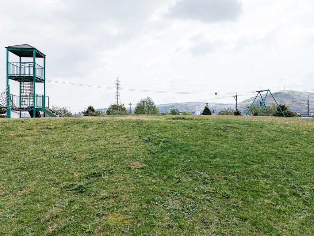 中条公園のターザンロープ1