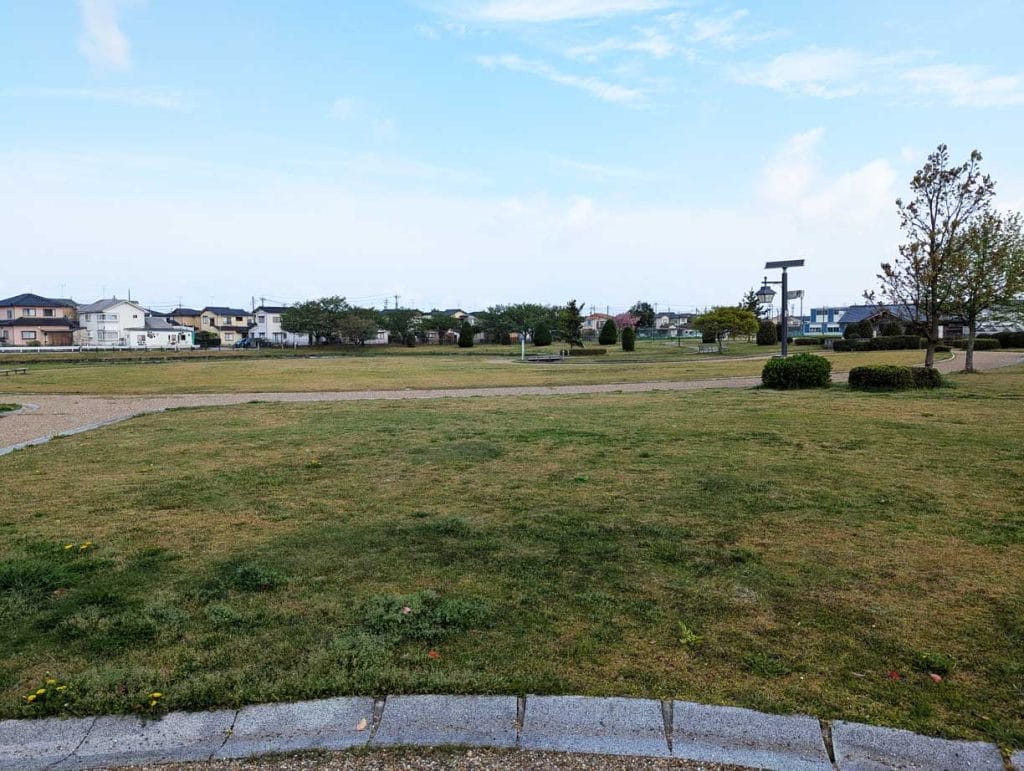 中条公園の芝生エリア3