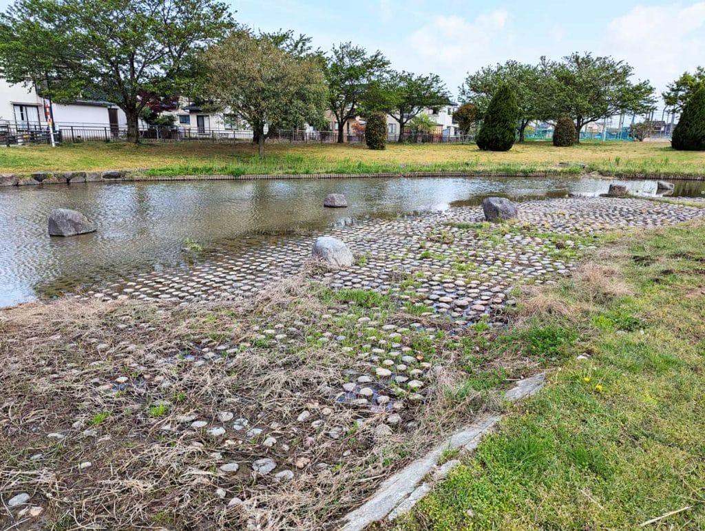 中条公園の小川1