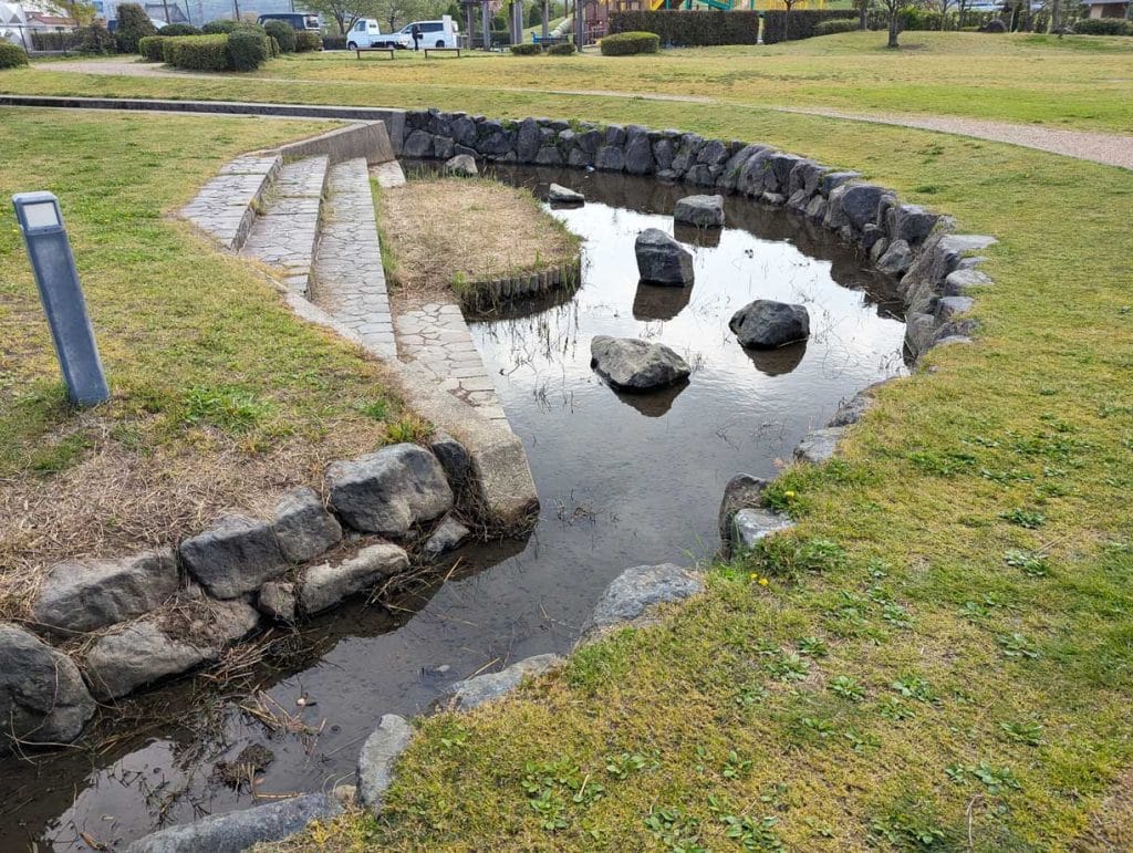 中条公園の小川2