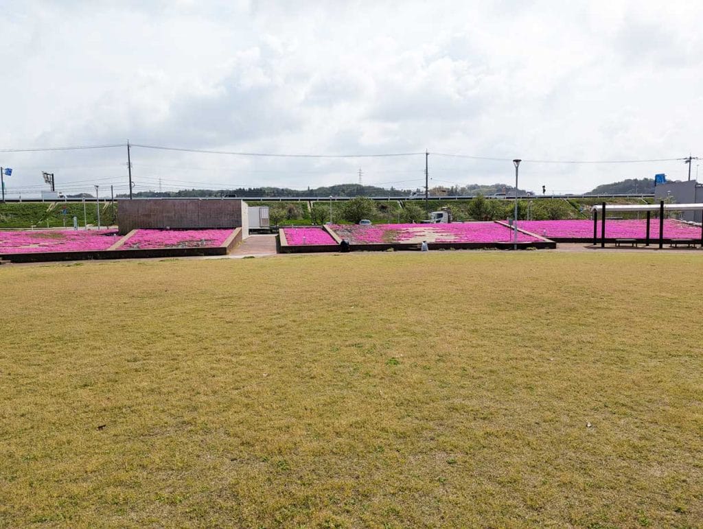 あがた公園の花壇1