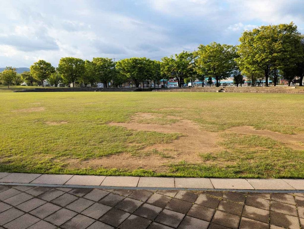 あらみや公園の芝生広場2