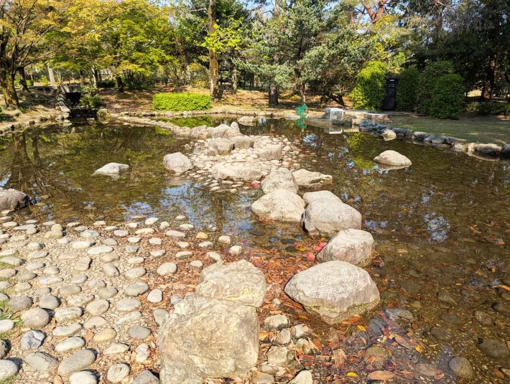 野々市中央公園の水辺1