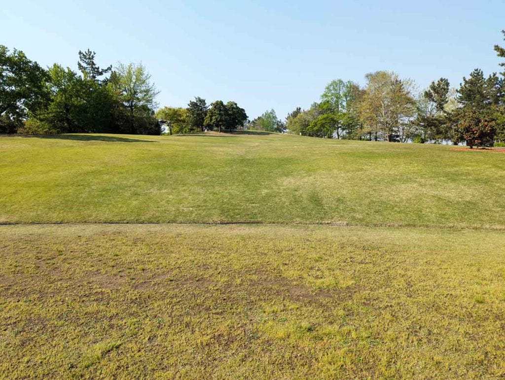 野々市中央公園の芝生エリア1