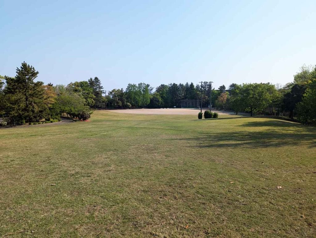 野々市中央公園の芝生エリア2
