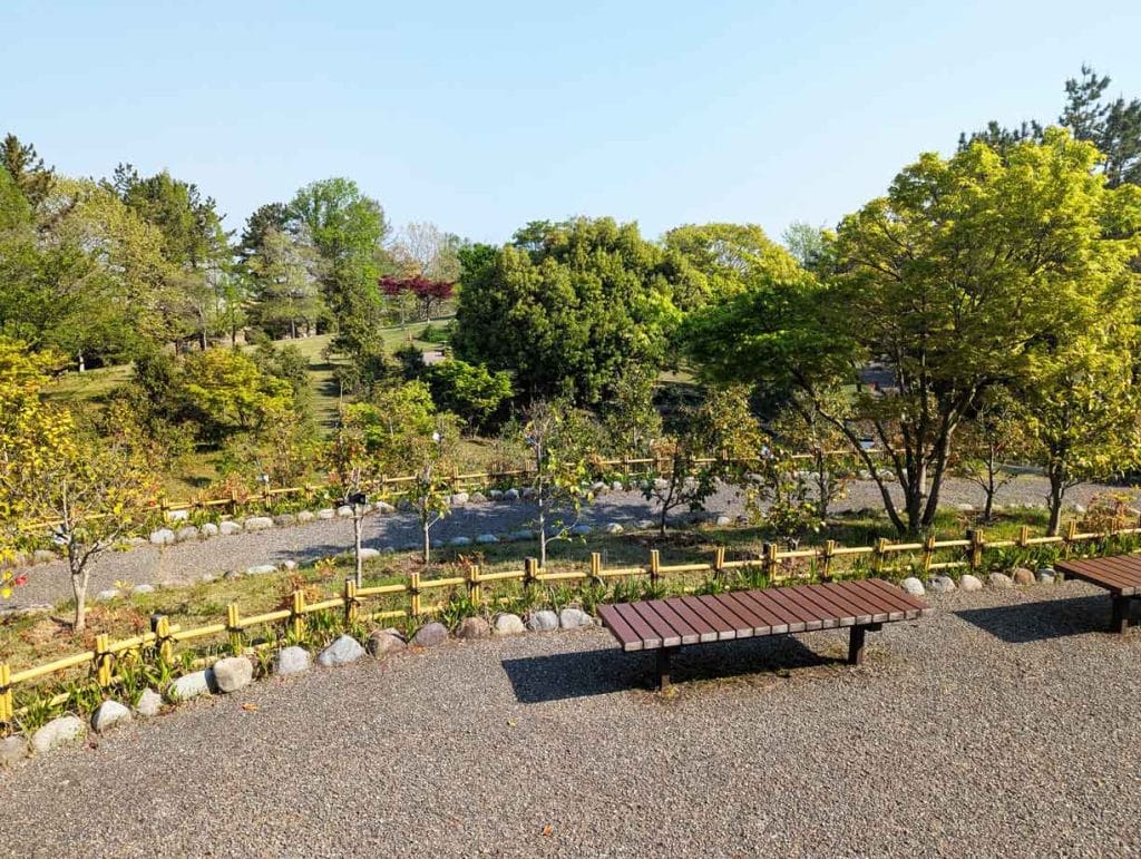 野々市中央公園の椿山2