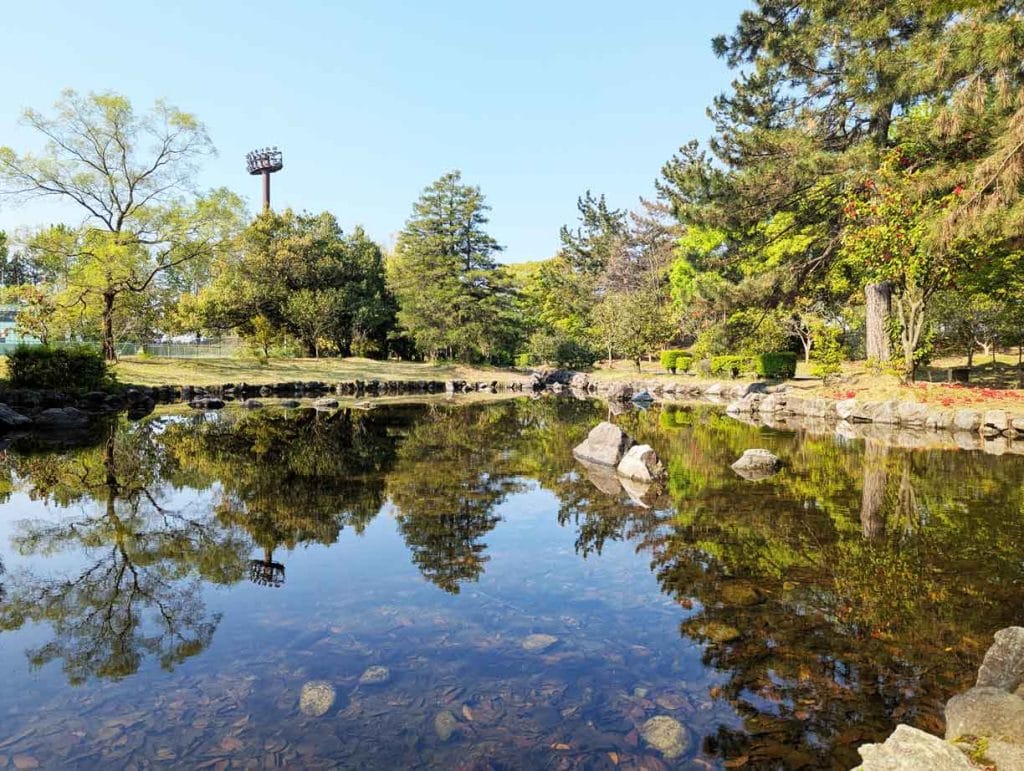 野々市中央公園の水辺2