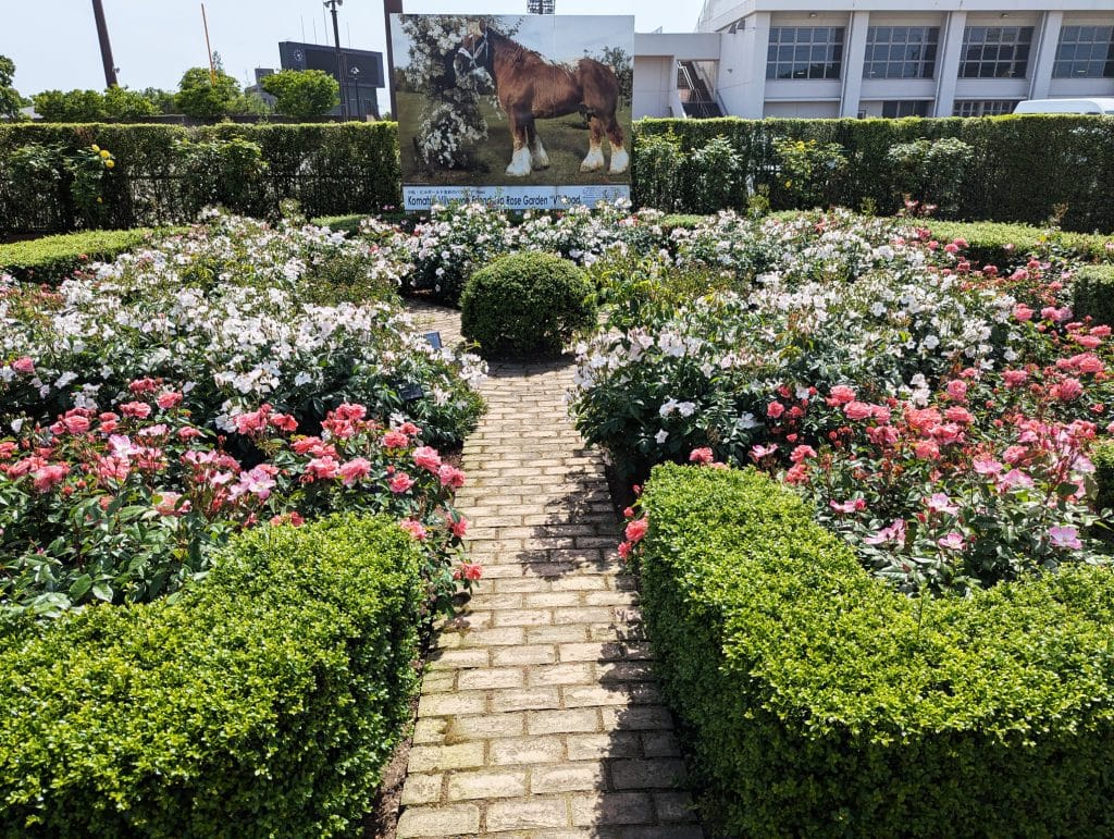 小松運動公園17