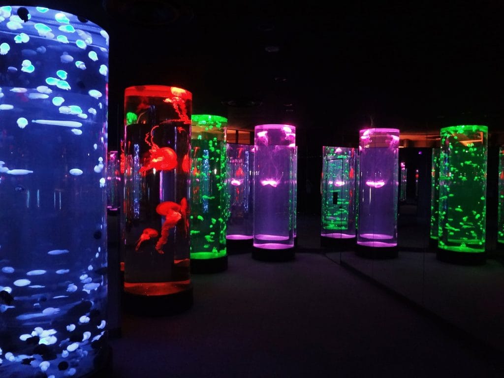 クラゲの光アート