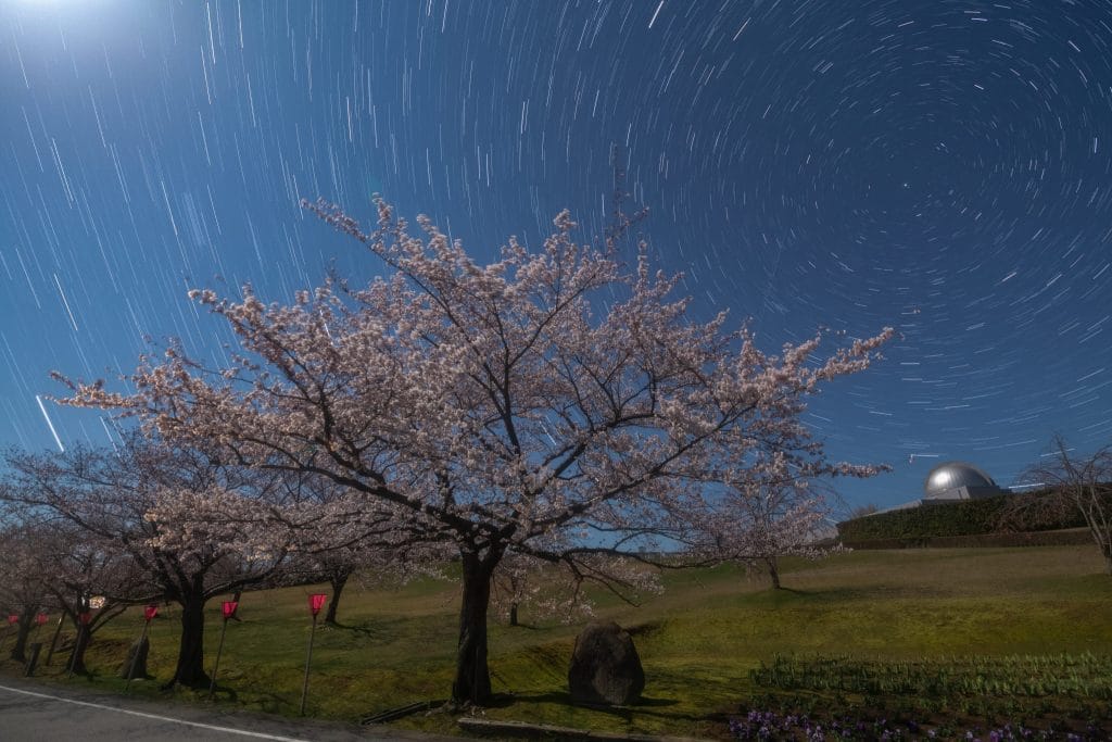 やなぎだ植物公園の星空1