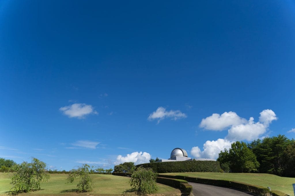 やなぎだ植物公園2