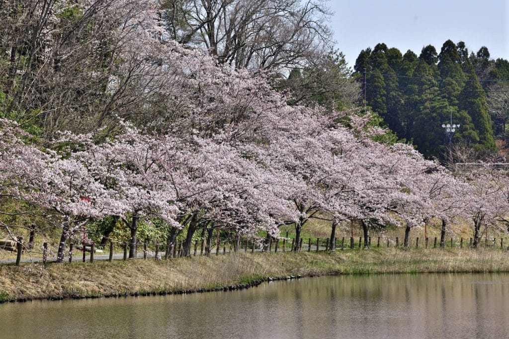 うのけ総合公園2
