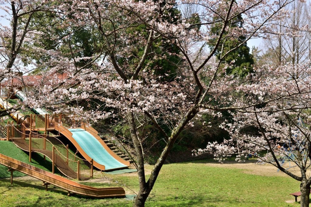 うのけ総合公園3