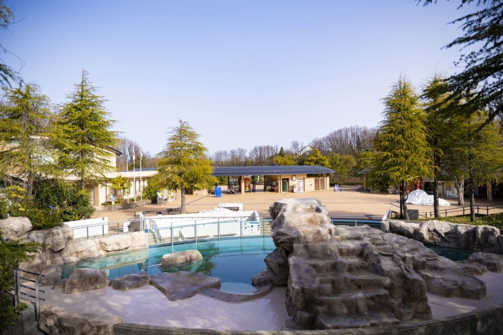 いしかわ動物園のアシカ・アザラシのうみ