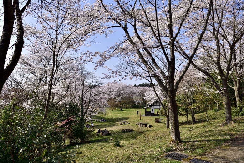 志乎・桜の里 古墳公園4