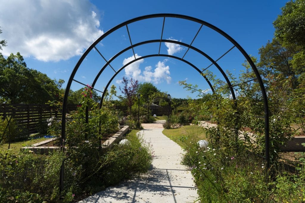 やなぎだ植物公園3