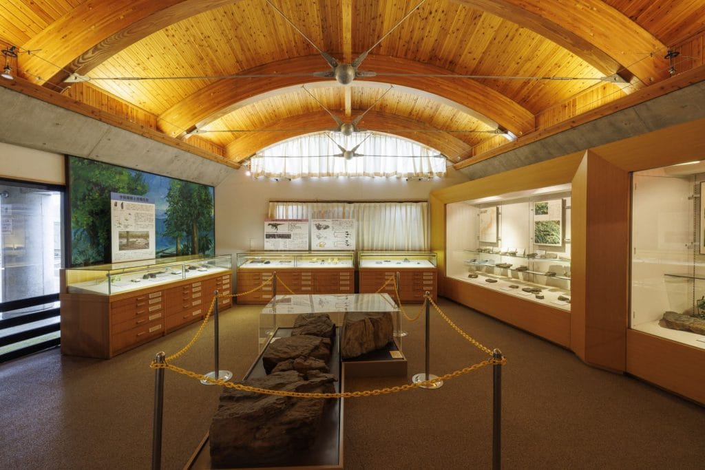 白山恐竜パーク白峰2