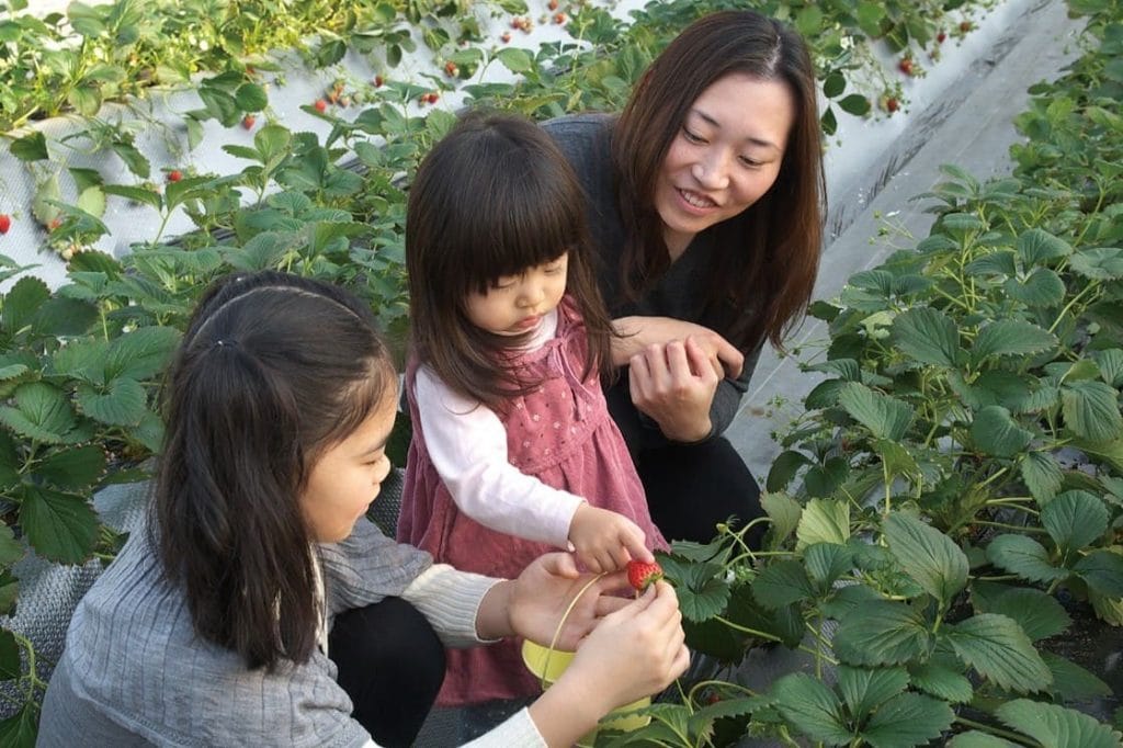 加賀フルーツランド5