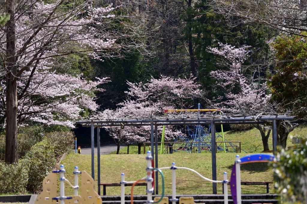うのけ総合公園4