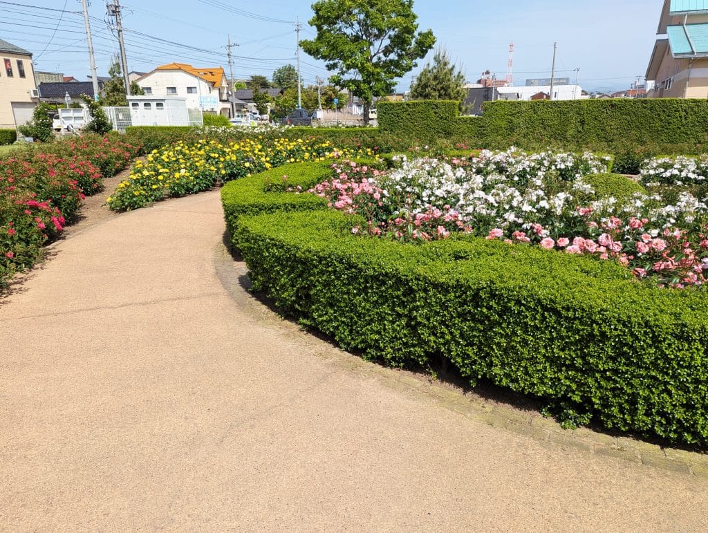 小松運動公園16