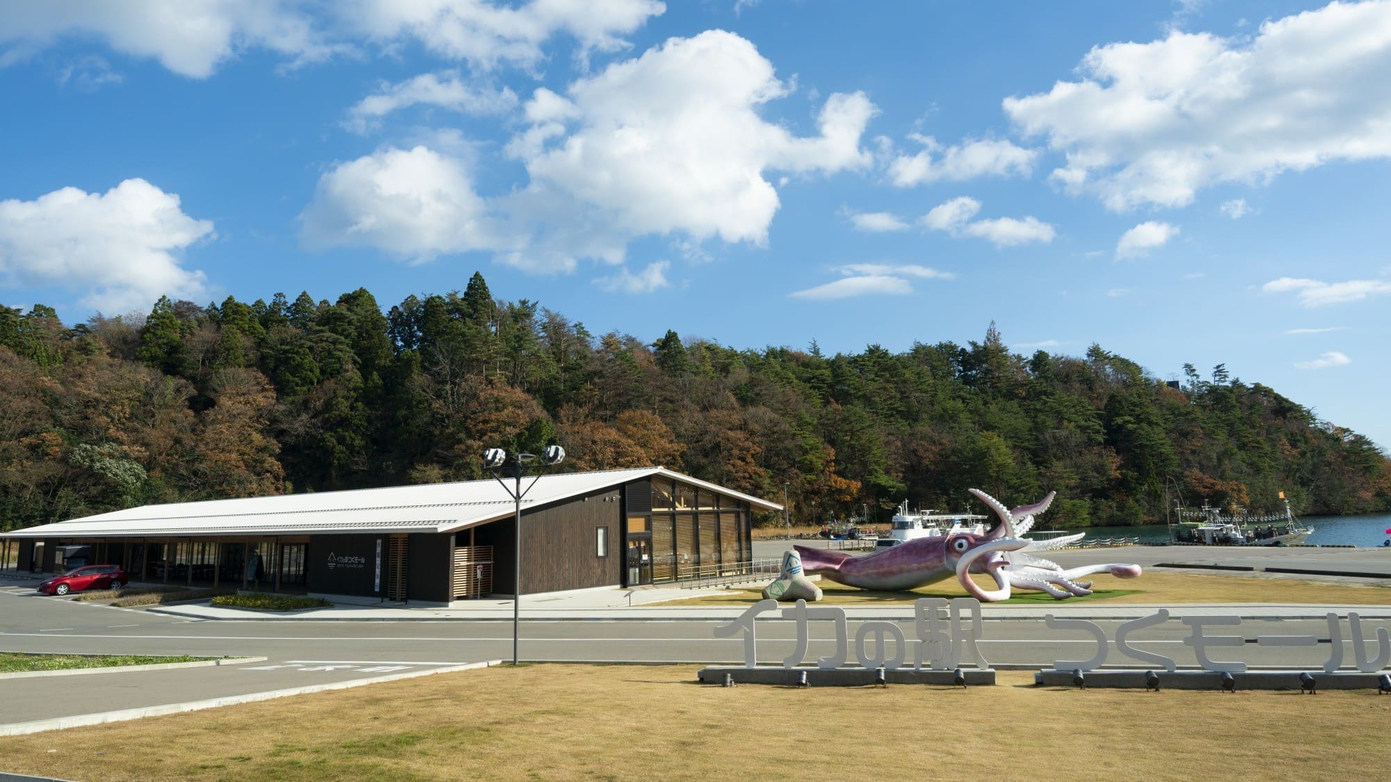 イカの駅つくモール