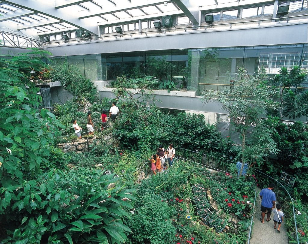石川県ふれあい昆虫館2