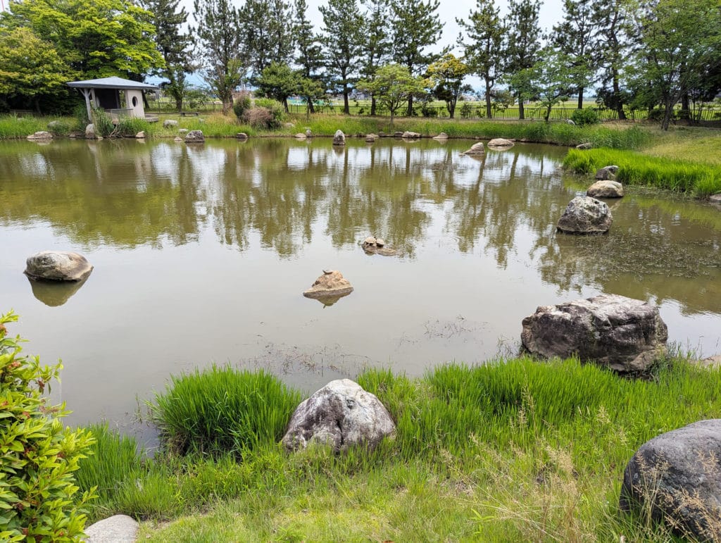 大野湊緑地公園11