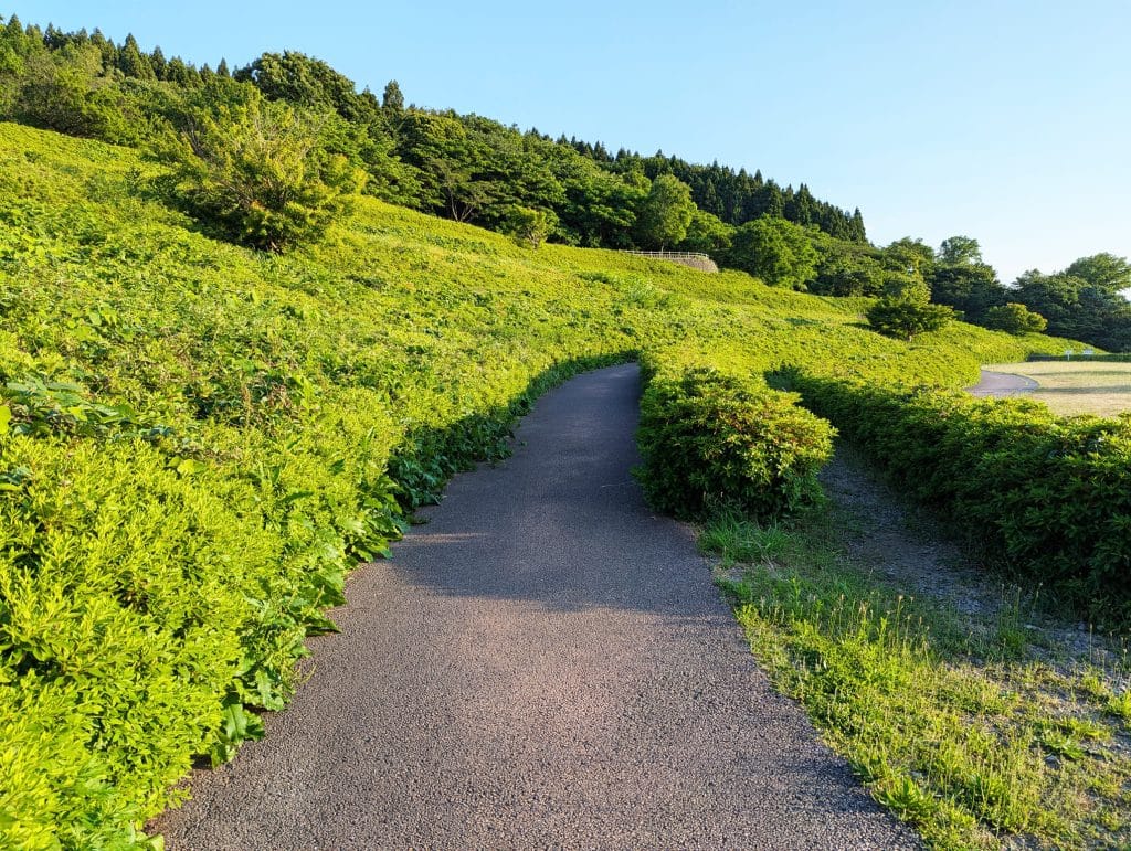 大乗寺丘陵公園3