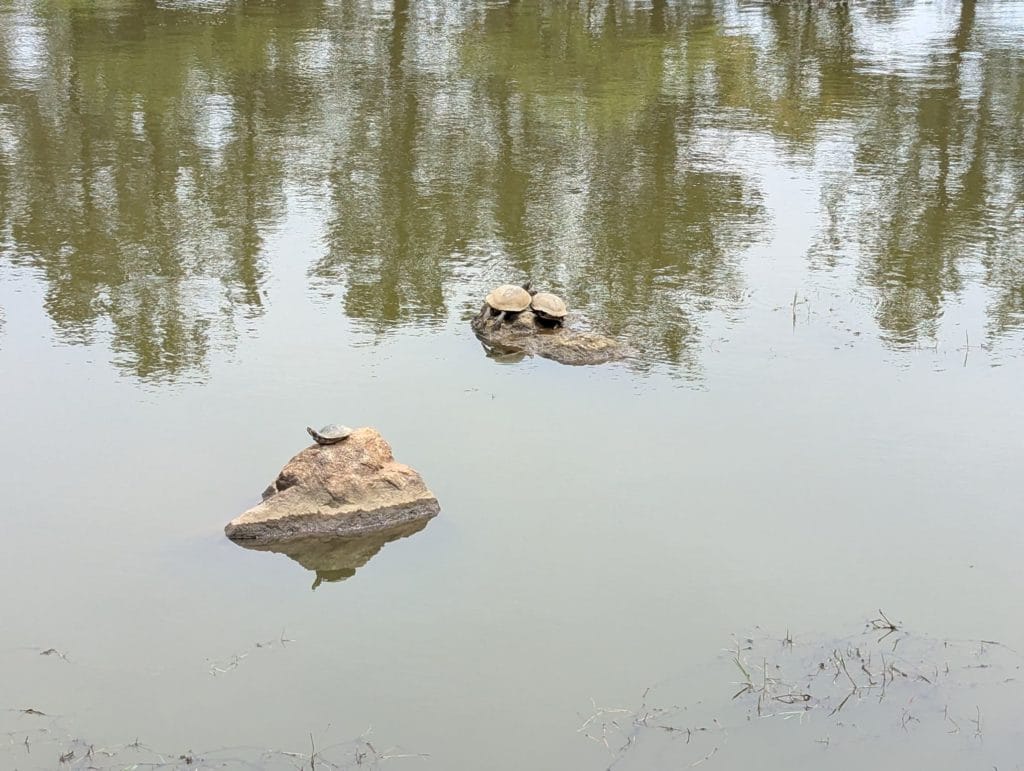 大野湊緑地公園12