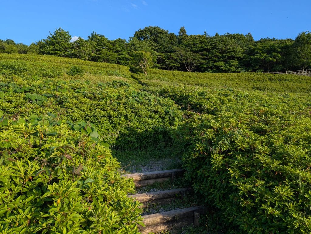 大乗寺丘陵公園2
