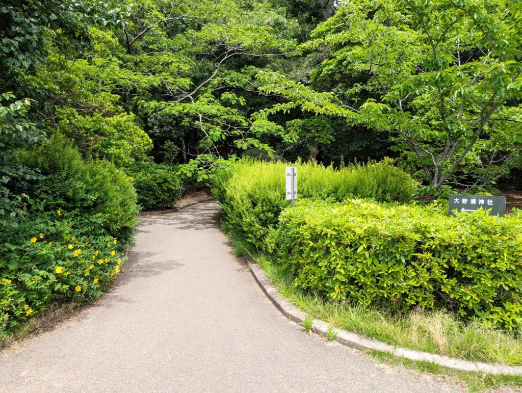 大野湊緑地公園9