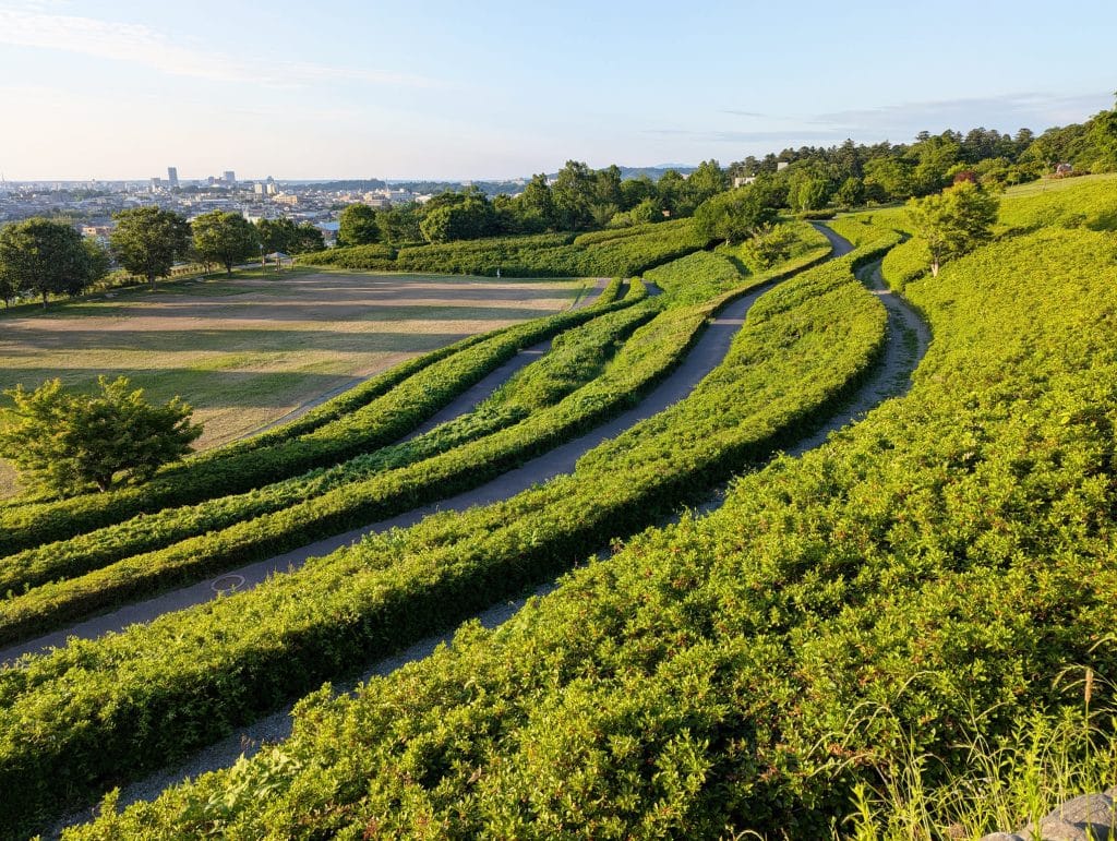 大乗寺丘陵公園7