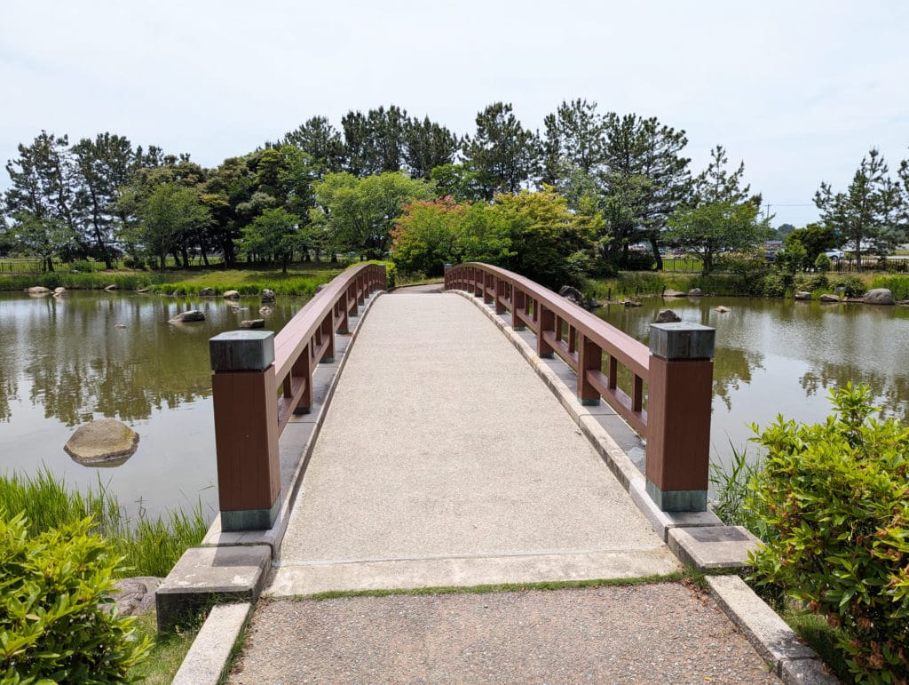 大野湊緑地公園3