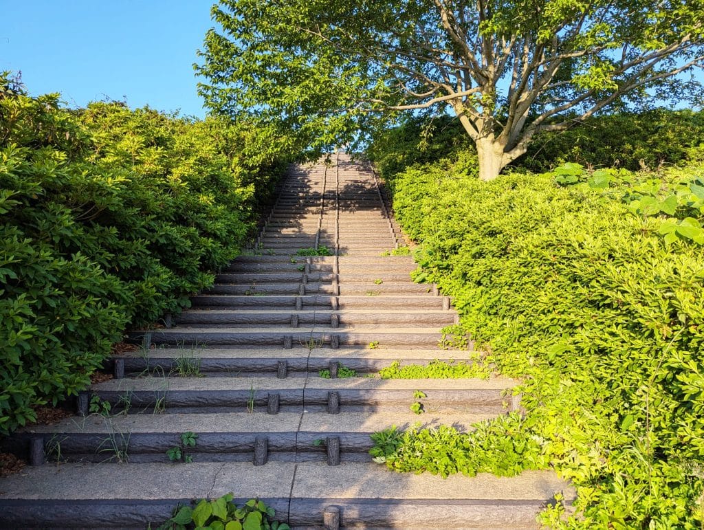 大乗寺丘陵公園4