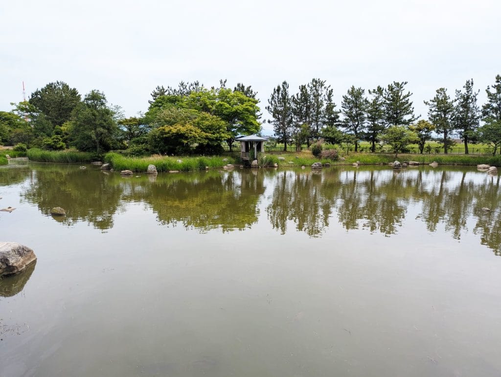 大野湊緑地公園10