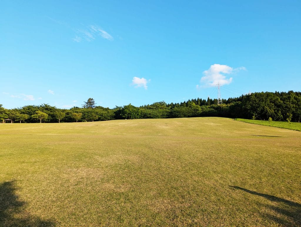 大乗寺丘陵公園 芝生