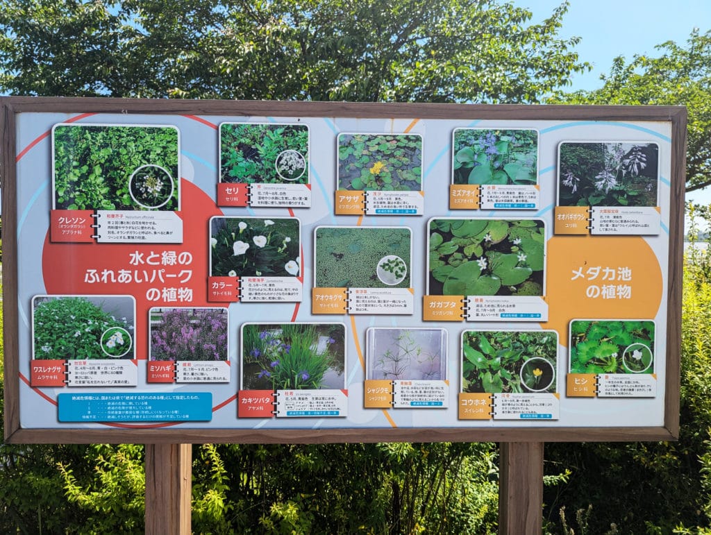 木場潟公園中央園地　水と緑のふれあいパーク3