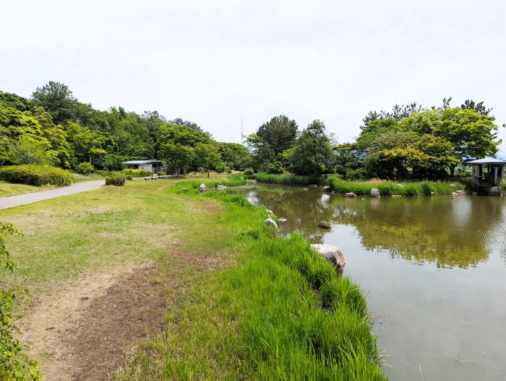大野湊緑地公園4